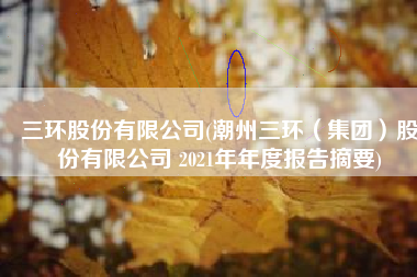 三环股份有限公司(潮州三环（集团）股份有限公司 2021年年度报告摘要)