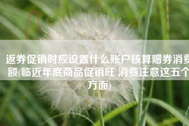 返券促销时应设置什么账户核算赠券消费额(临近年底商品促销旺 消费注意这五个方面)