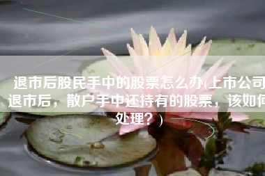退市后股民手中的股票怎么办(上市公司退市后，散户手中还持有的股票，该如何处理？)