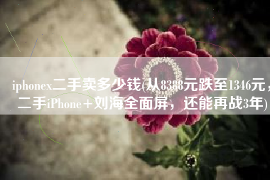iphonex二手卖多少钱(从8388元跌至1346元，二手iPhone+刘海全面屏，还能再战3年)