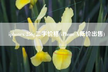 iphonex 256g二手价格(iPhone X低价出售)