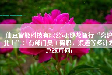 仙豆智能科技有限公司(沙龙智行“离沪北上”：有部门员工离职，渠道等多计划急改方向)