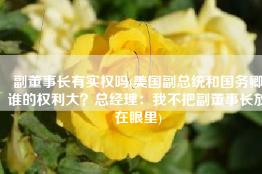 副董事长有实权吗(美国副总统和国务卿谁的权利大？总经理：我不把副董事长放在眼里)