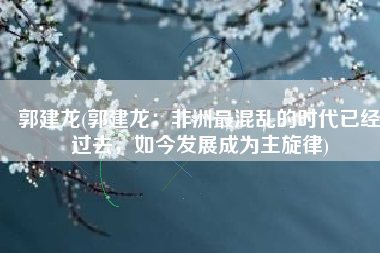 郭建龙(郭建龙：非洲最混乱的时代已经过去，如今发展成为主旋律)
