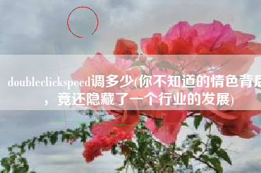 doubleclickspeed调多少(你不知道的情色背后，竟还隐藏了一个行业的发展)