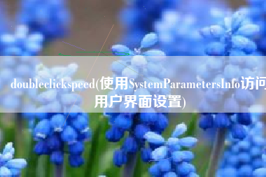 doubleclickspeed(使用SystemParametersInfo访问用户界面设置)