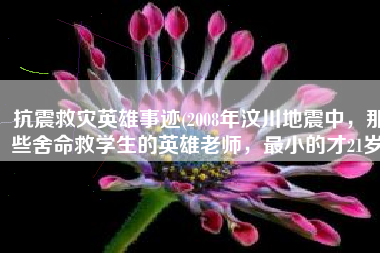 抗震救灾英雄事迹(2008年汶川地震中，那些舍命救学生的英雄老师，最小的才21岁)