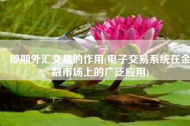 即期外汇交易的作用(电子交易系统在金融市场上的广泛应用)