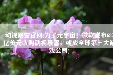 动视暴雪官网(为了元宇宙！微软宣布687亿美元收购动视暴雪，或成全球第三大游戏公司)