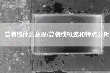 总装线什么意思(总装线概述和特点分析)