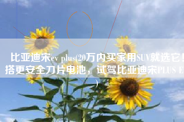 比亚迪宋ev plus(20万内买家用SUV就选它！搭更安全刀片电池，试驾比亚迪宋PLUS EV)