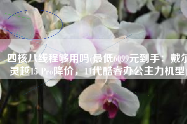四核八线程够用吗(最低6099元到手：戴尔灵越15 Pro降价，11代酷睿办公主力机型)
