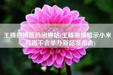 王腾微博数码闲聊站(王腾微博暗示小米 7 月将不会举办新品发布会)