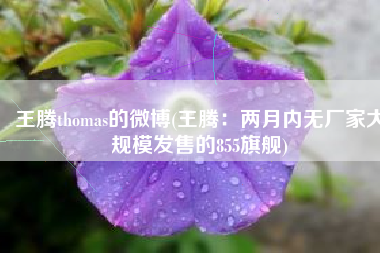 王腾thomas的微博(王腾：两月内无厂家大规模发售的855旗舰)