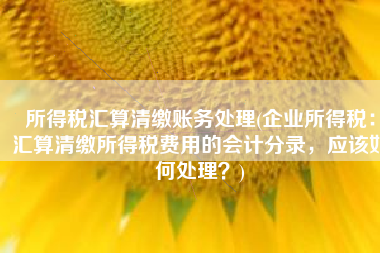 所得税汇算清缴账务处理(企业所得税：汇算清缴所得税费用的会计分录，应该如何处理？)