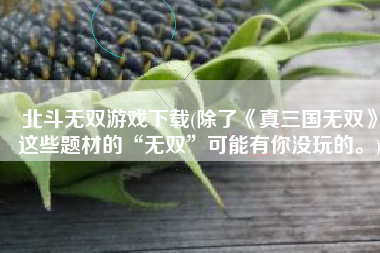 北斗无双游戏下载(除了《真三国无双》这些题材的“无双”可能有你没玩的。)