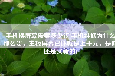 手机换屏幕需要多少钱(手机维修为什么那么贵，主板屏幕已坏就是上千元，是修还是买新的)