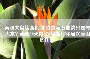 美股大盘熔断机制(疫情与石油战只是导火索？美股10天内4次熔断！深层次原因是什么)