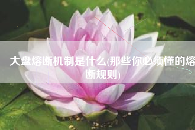 大盘熔断机制是什么(那些你必须懂的熔断规则)