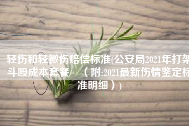 轻伤和轻微伤赔偿标准(公安局2021年打架斗殴成本套餐​（附:2021最新伤情鉴定标准明细）)