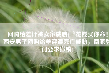 网购给差评被卖家威胁(“花钱买你命！西安男子网购给差评遭死亡威胁，商家登门要求撤销)