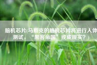 脑机芯片(马斯克的脑机芯片将进行人体测试，“黑客帝国”或成现实？)