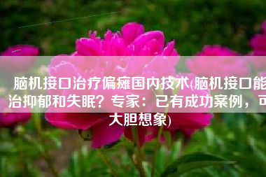 脑机接口治疗偏瘫国内技术(脑机接口能治抑郁和失眠？专家：已有成功案例，可大胆想象)