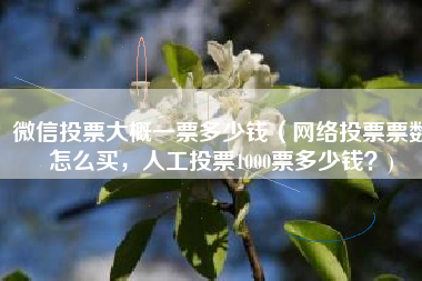 微信投票大概一票多少钱（网络投票票数怎么买，人工投票1000票多少钱？)