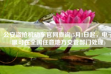 公安盗抢机动车官网查询(5月1日起，电子眼可在全国任意地方交管部门处理)