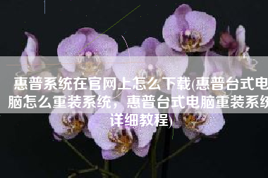 惠普系统在官网上怎么下载(惠普台式电脑怎么重装系统，惠普台式电脑重装系统详细教程)