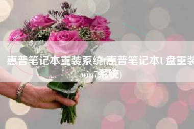 惠普笔记本重装系统(惠普笔记本U盘重装win7系统)