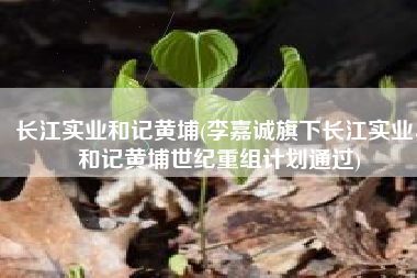 长江实业和记黄埔(李嘉诚旗下长江实业、和记黄埔世纪重组计划通过)