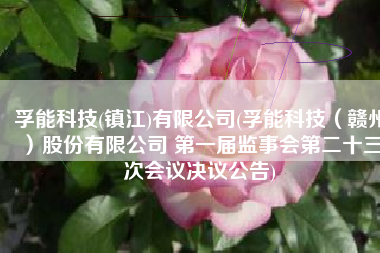 孚能科技(镇江)有限公司(孚能科技（赣州）股份有限公司 第一届监事会第二十三次会议决议公告)