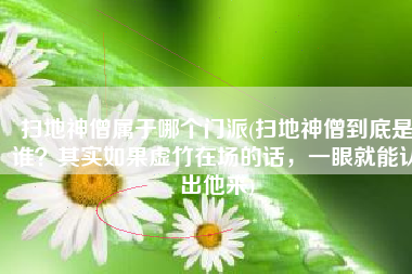 扫地神僧属于哪个门派(扫地神僧到底是谁？其实如果虚竹在场的话，一眼就能认出他来)