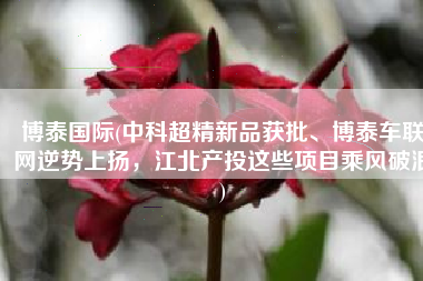 博泰国际(中科超精新品获批、博泰车联网逆势上扬，江北产投这些项目乘风破浪)