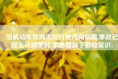 当机动车转向失控行驶方向偏离,事故已经无可避免时(紧急情况下避险常识)