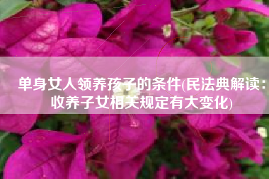 单身女人领养孩子的条件(民法典解读：收养子女相关规定有大变化)