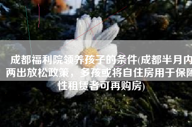成都福利院领养孩子的条件(成都半月内两出放松政策，多孩或将自住房用于保障性租赁者可再购房)