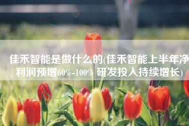 佳禾智能是做什么的(佳禾智能上半年净利润预增60%-100% 研发投入持续增长)