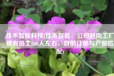 佳禾智能科技(佳禾智能：公司越南工厂现有员工800人左右，目前订单与产能匹配)