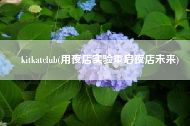 kitkatclub(用夜店实验重启夜店未来)