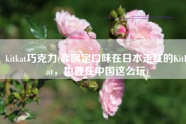 kitkat巧克力(靠限定口味在日本走红的KitKat，也要在中国这么玩)