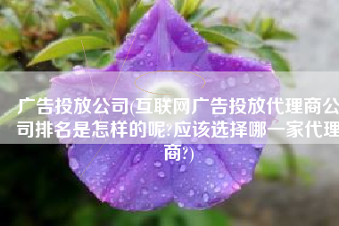 广告投放公司(互联网广告投放代理商公司排名是怎样的呢?应该选择哪一家代理商?)