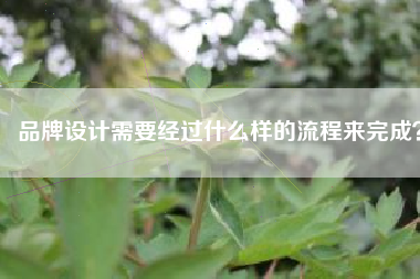 品牌设计需要经过什么样的流程来完成？