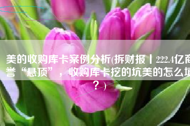 美的收购库卡案例分析(拆财报丨222.4亿商誉“悬顶”，收购库卡挖的坑美的怎么填？)