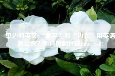 单边的英文(“躺平”和“内卷”用英语怎么说？别直接翻译成inner roll)