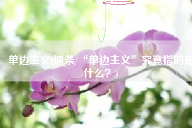 单边主义(词条/“单边主义”究竟指的是什么？)