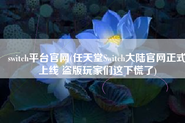switch平台官网(任天堂Switch大陆官网正式上线 盗版玩家们这下慌了)