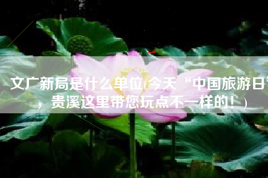 文广新局是什么单位(今天“中国旅游日”，贵溪这里带您玩点不一样的！)