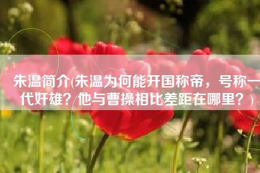 朱温简介(朱温为何能开国称帝，号称一代奸雄？他与曹操相比差距在哪里？)